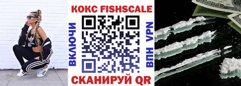 дарнет шоп  Нижняя Тура  COCAIN FishScale 